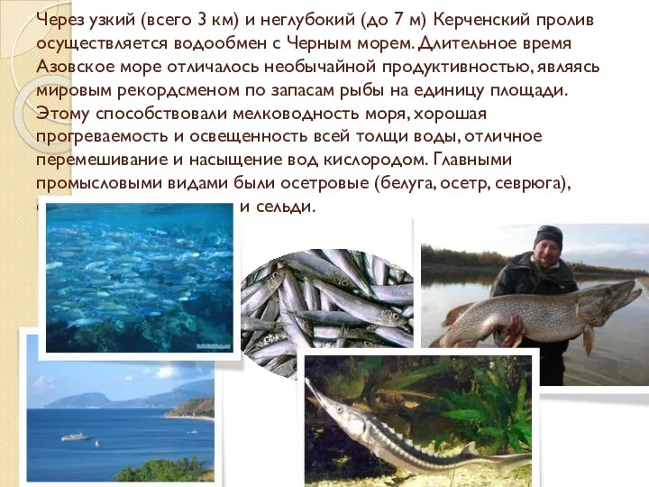 Через узкий (всего 3 км) и неглубокий (до 7 м) Керченский пролив осуществляется