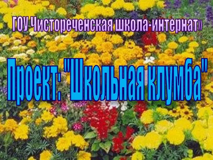 Проект Школьная клумба