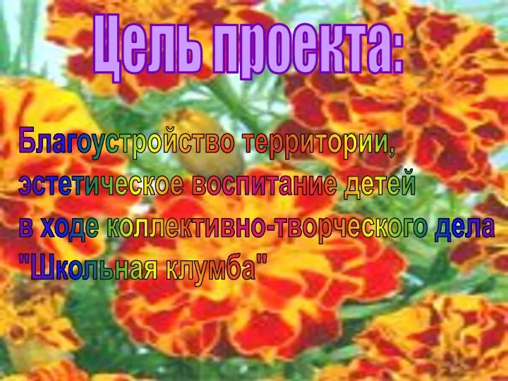 Цель проекта: Благоустройство территории, эстетическое воспитание детей в ходе коллективно-творческого дела "Школьная клумба"