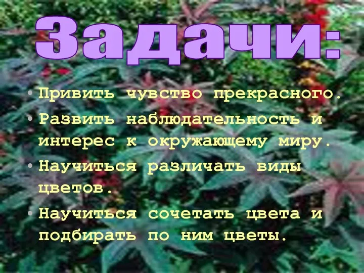 Привить чувство прекрасного. Развить наблюдательность и интерес к окружающему миру. Научиться различать виды