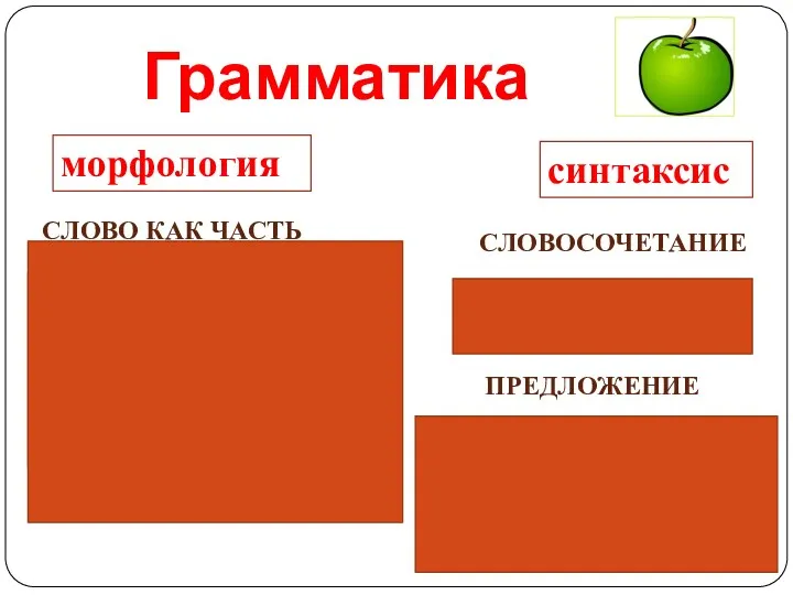 Грамматика морфология синтаксис слово как часть речи словосочетание предложение Яблоко