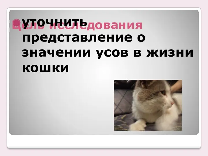 Цель исследования уточнить представление о значении усов в жизни кошки