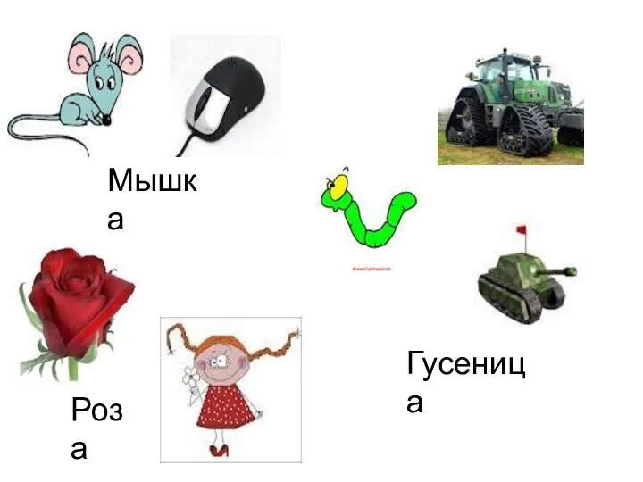 Мышка Гусеница Роза