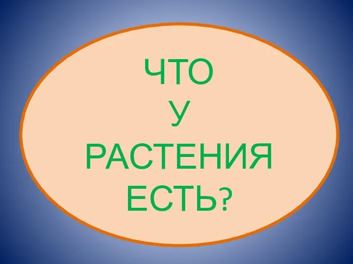 ЧТО У РАСТЕНИЯ ЕСТЬ?