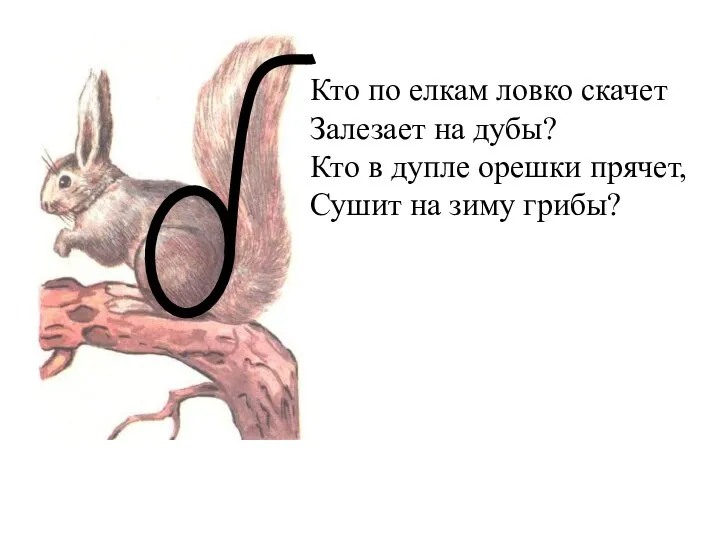 Кто по елкам ловко скачет Залезает на дубы? Кто в дупле орешки прячет,