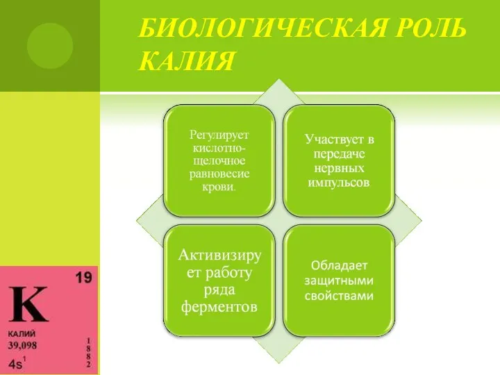 БИОЛОГИЧЕСКАЯ РОЛЬ КАЛИЯ