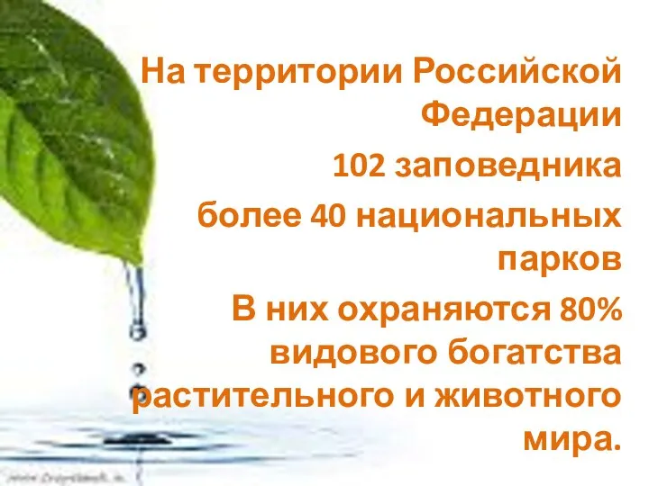 На территории Российской Федерации 102 заповедника более 40 национальных парков