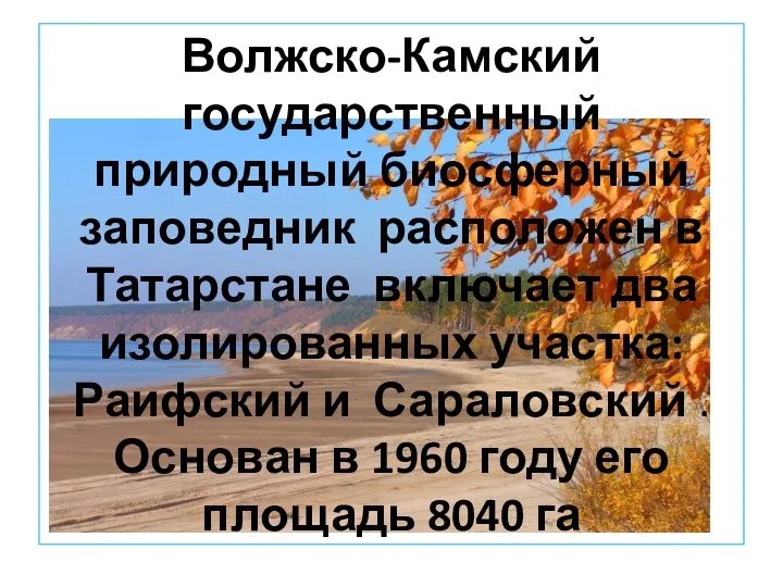 Волжско-Камский государственный природный биосферный заповедник расположен в Татарстане включает два изолированных участка: Раифский