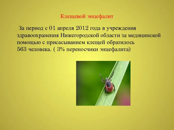 Клещевой энцефалит За период с 01 апреля 2012 года в учреждения здравоохранения Нижегородской