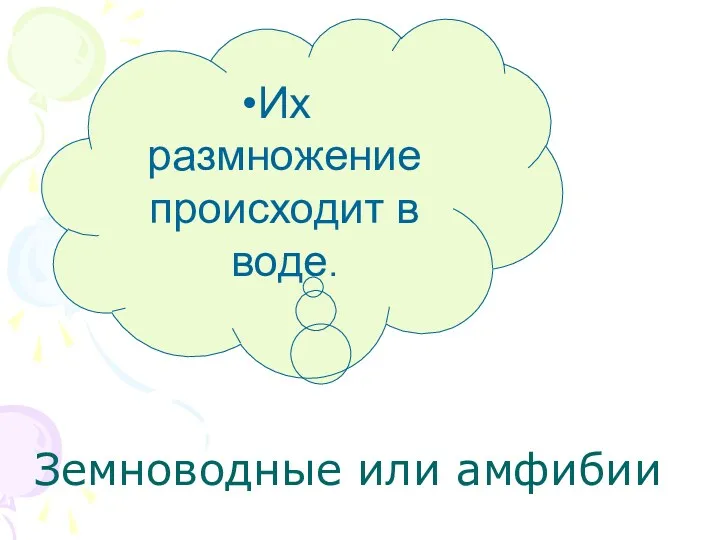 Земноводные или амфибии Их размножение происходит в воде.