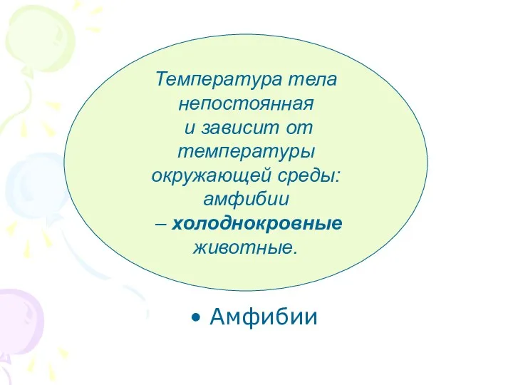 Амфибии Температура тела непостоянная и зависит от температуры окружающей среды: амфибии – холоднокровные животные.