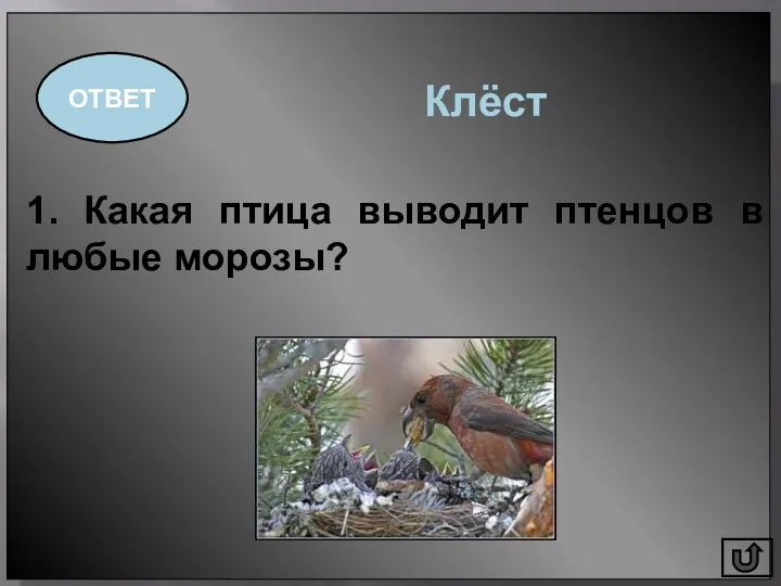 1. Какая птица выводит птенцов в любые морозы? ОТВЕТ Клёст