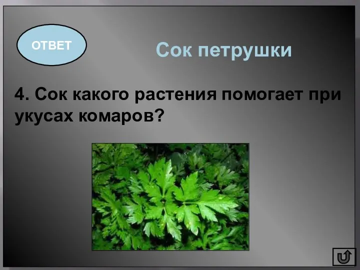 4. Сок какого растения помогает при укусах комаров? ОТВЕТ Сок петрушки