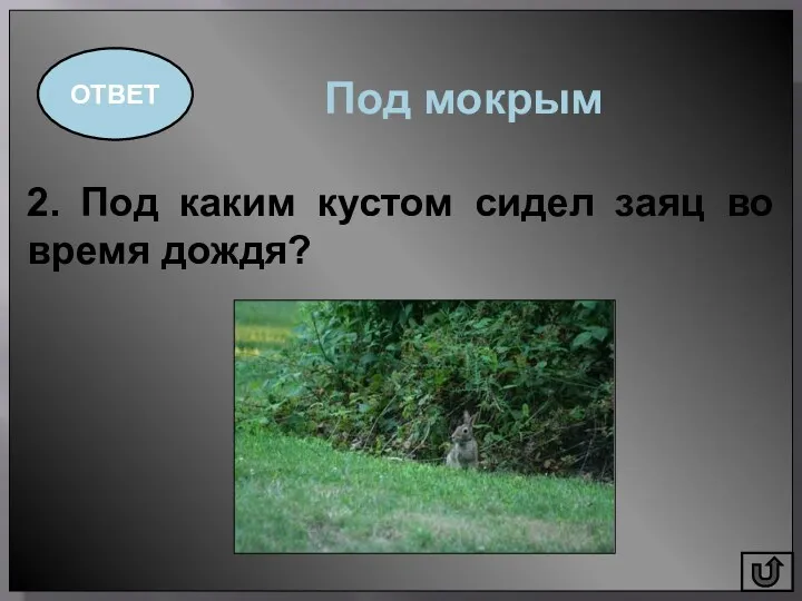 ОТВЕТ 2. Под каким кустом сидел заяц во время дождя? Под мокрым