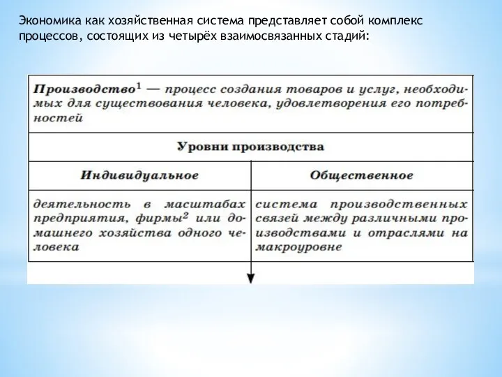 Экономика как хозяйственная система представляет собой комплекс процессов, состоящих из четырёх взаимосвязанных стадий: