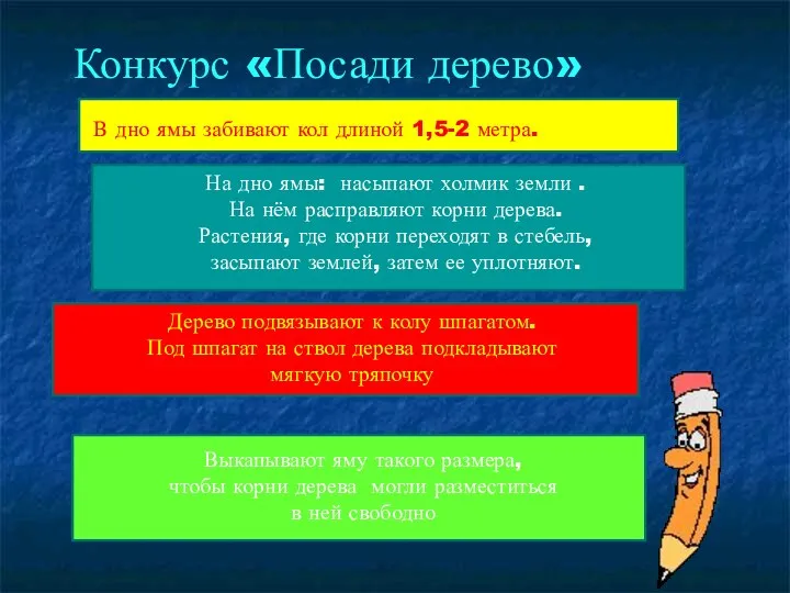 Конкурс «Посади дерево»