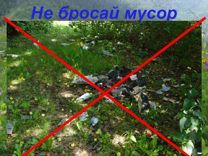 Не бросай мусор