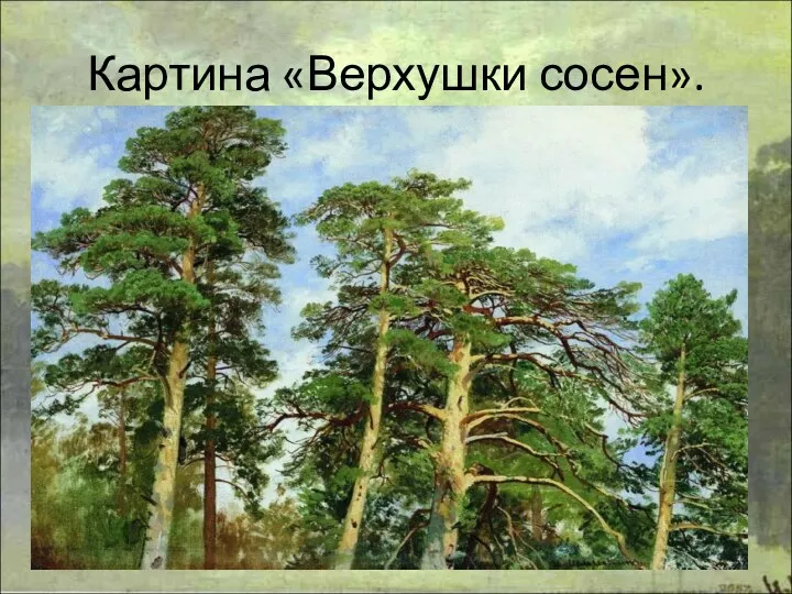 Картина «Верхушки сосен».