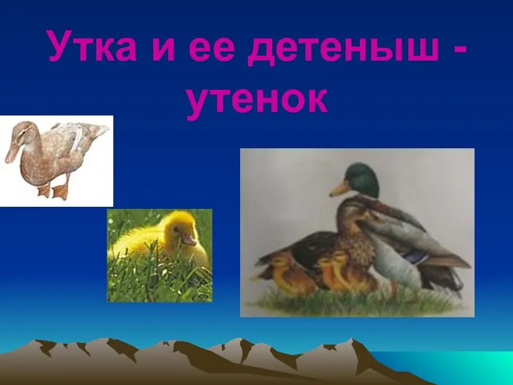 Утка и ее детеныш - утенок