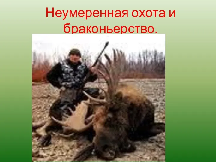 Неумеренная охота и браконьерство.