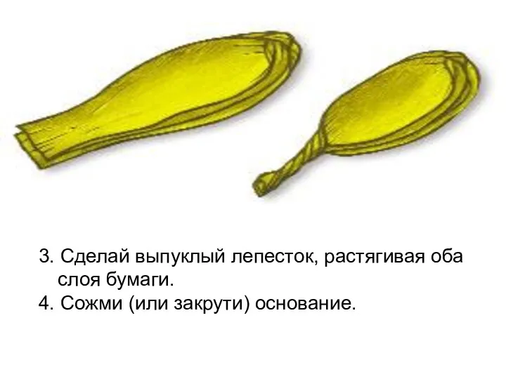 3. Сделай выпуклый лепесток, растягивая оба слоя бумаги. 4. Сожми (или закрути) основание.