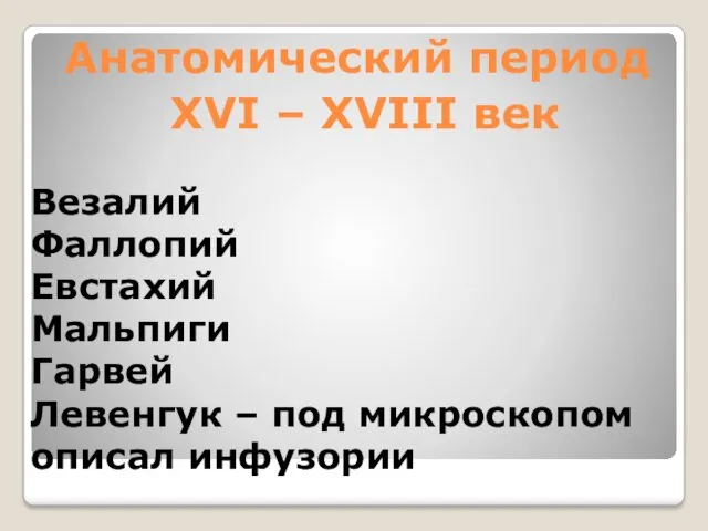 Анатомический период XVI – XVIII век Везалий Фаллопий Евстахий Мальпиги