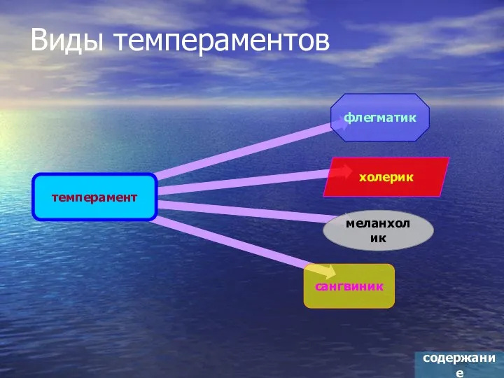 Виды темпераментов содержание темперамент флегматик меланхолик холерик сангвиник