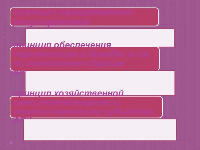 принцип программного регулирования принцип обеспечения паритета цен и доходов в