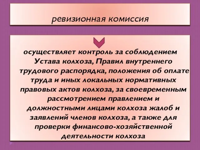 ревизионная комиссия осуществляет контроль за соблюдением Устава колхоза, Правил внутреннего