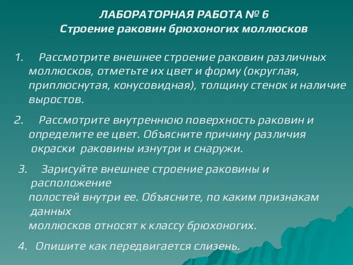 ЛАБОРАТОРНАЯ РАБОТА № 6 Строение раковин брюхоногих моллюсков Рассмотрите внешнее