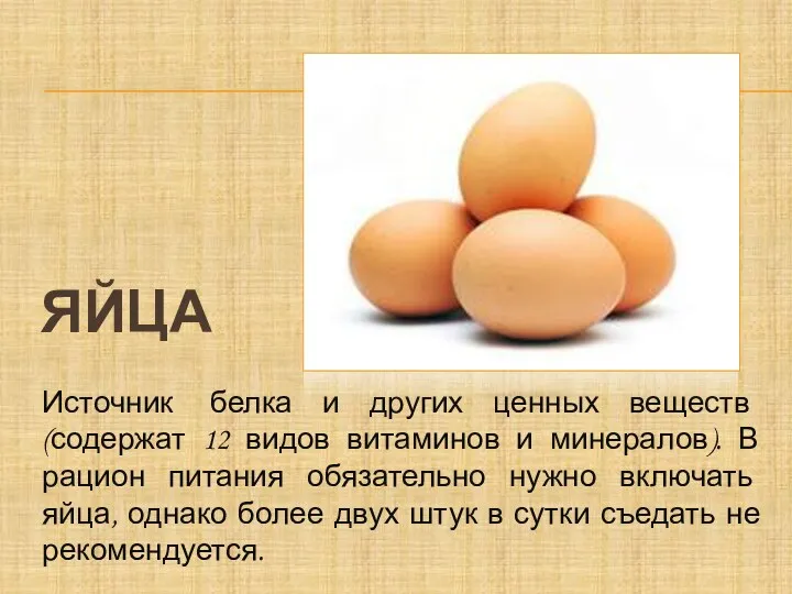 Яйца Источник белка и других ценных веществ (содержат 12 видов