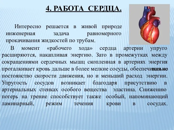 Интересно решается в живой природе инженерная задача равномерного прокачивания жидкостей по трубам. В