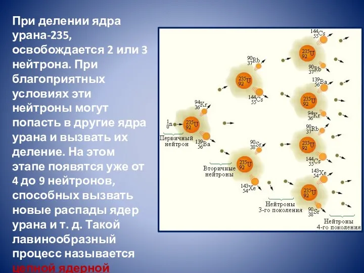 При делении ядра урана-235, освобождается 2 или 3 нейтрона. При