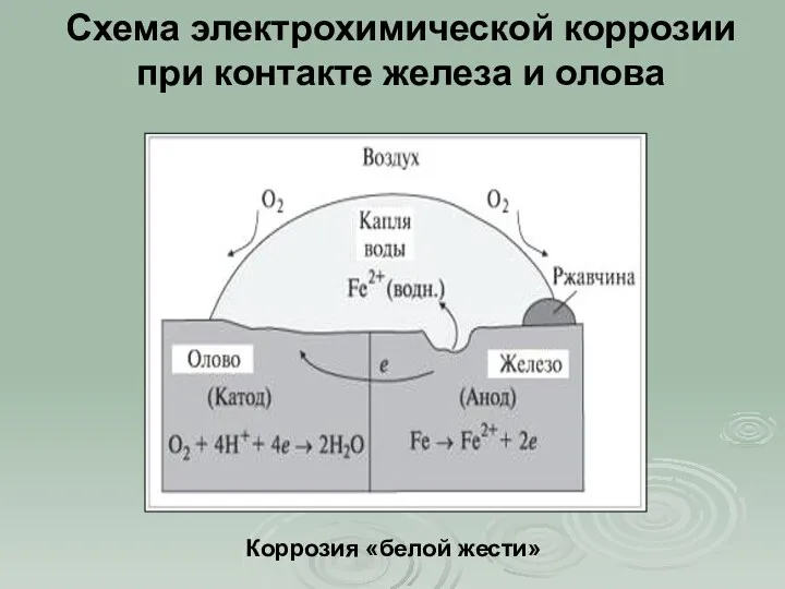 Схема электрохимической коррозии при контакте железа и олова Коррозия «белой жести»