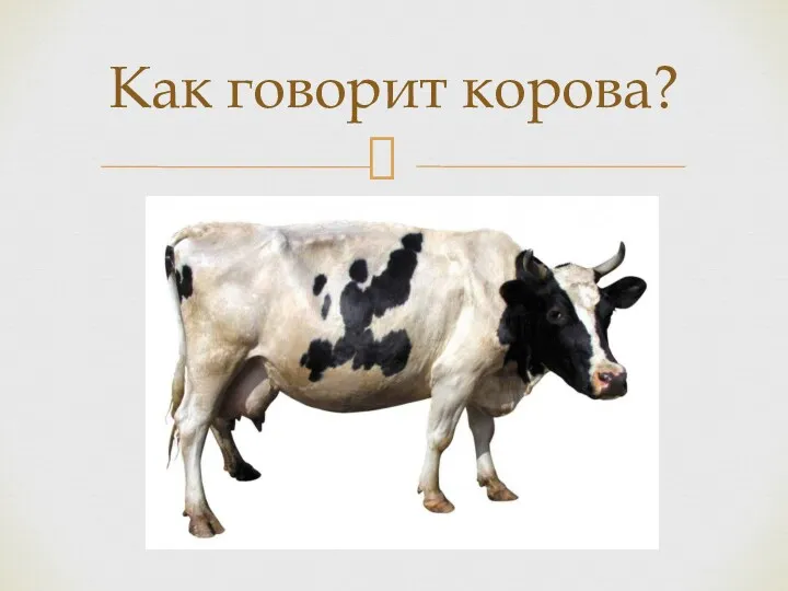 Как говорит корова?