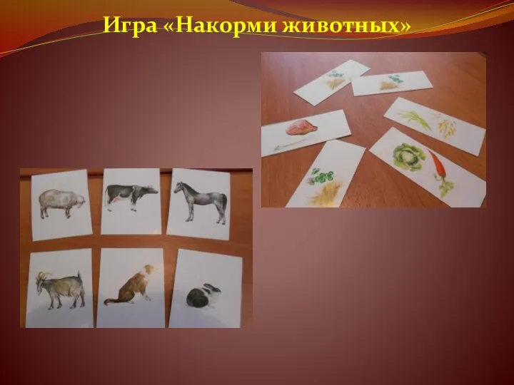 Игра «Накорми животных»