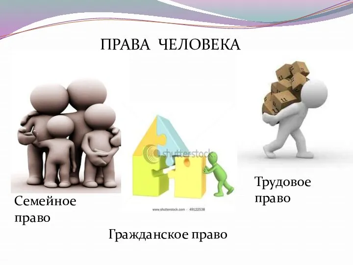 Семейное право Гражданское право Трудовое право ПРАВА ЧЕЛОВЕКА