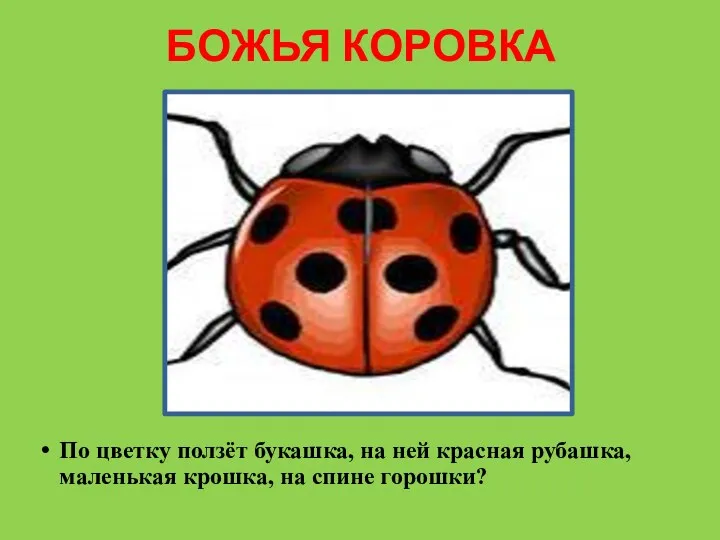 БОЖЬЯ КОРОВКА По цветку ползёт букашка, на ней красная рубашка, маленькая крошка, на спине горошки?