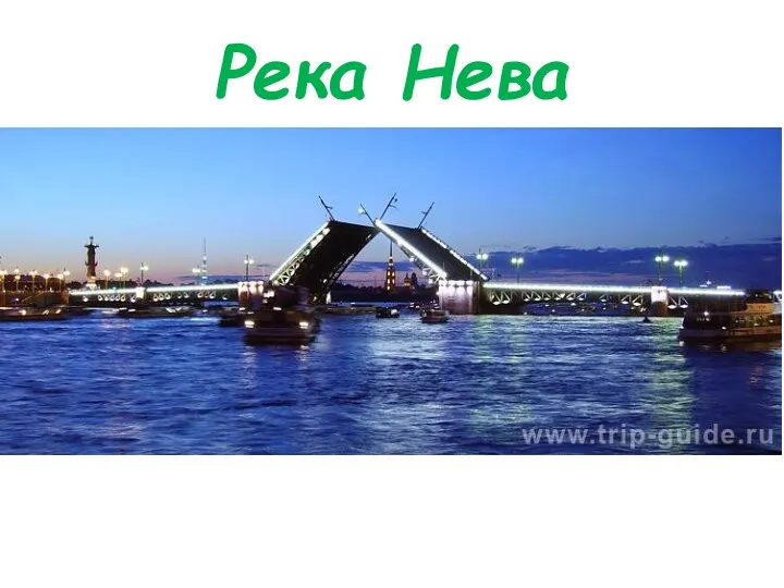 Река Нева