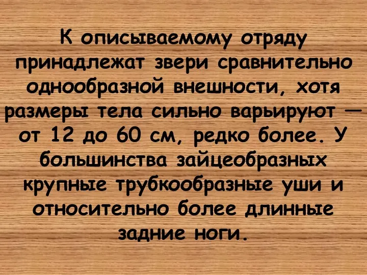 К описываемому отряду принадлежат звери сравнительно однообразной внешности, хотя размеры