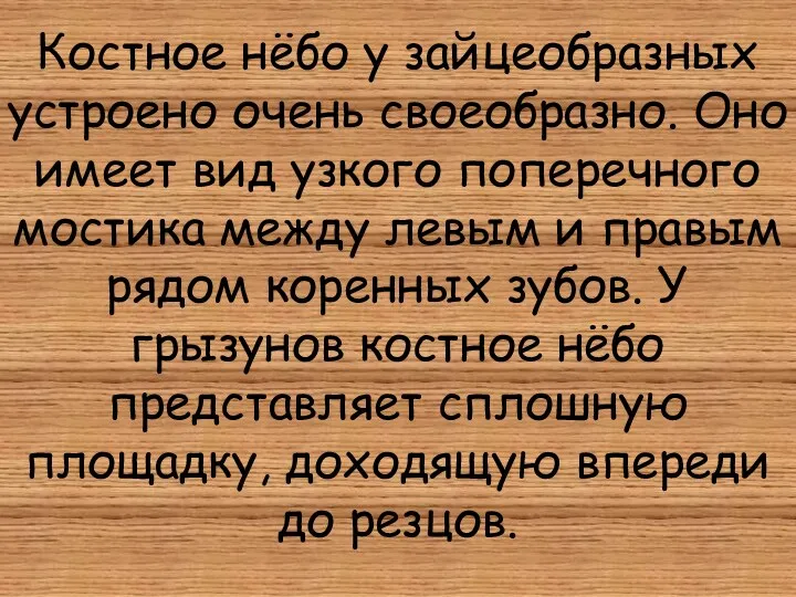 Костное нёбо у зайцеобразных устроено очень своеобразно. Оно имеет вид