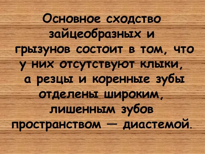 Основное сходство зайцеобразных и грызунов состоит в том, что у