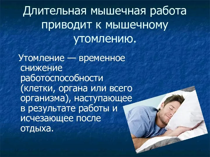 Длительная мышечная работа приводит к мышечному утомлению. Утомление — временное