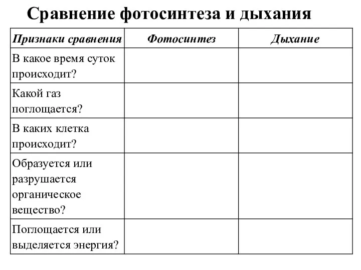 Сравнение фотосинтеза и дыхания