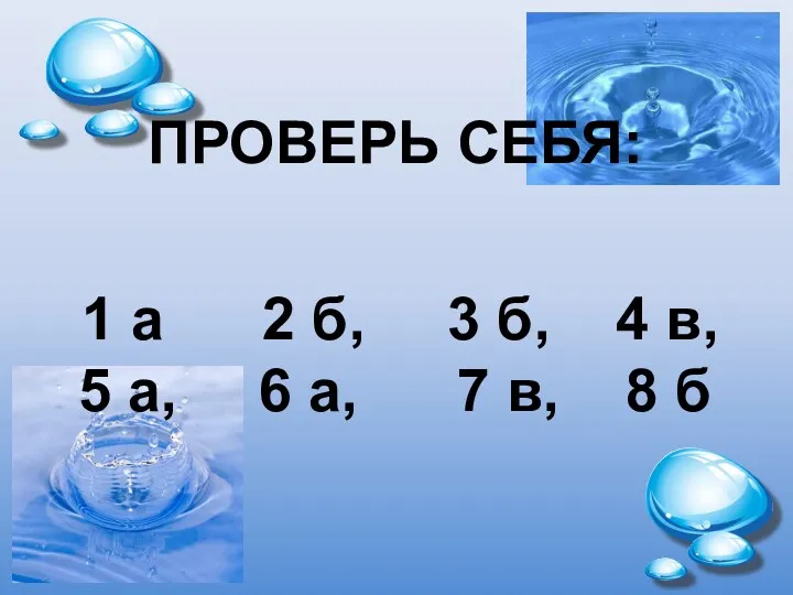 ПРОВЕРЬ СЕБЯ: 1 а 2 б, 3 б, 4 в,