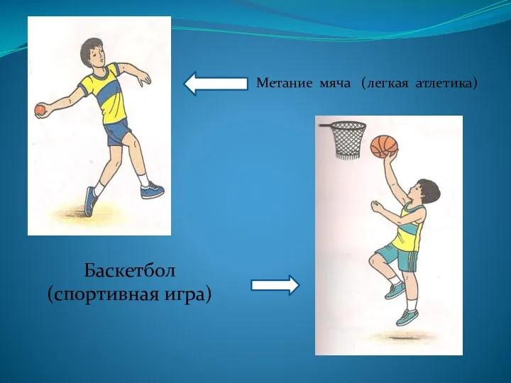 Метание мяча (легкая атлетика) Баскетбол (спортивная игра)