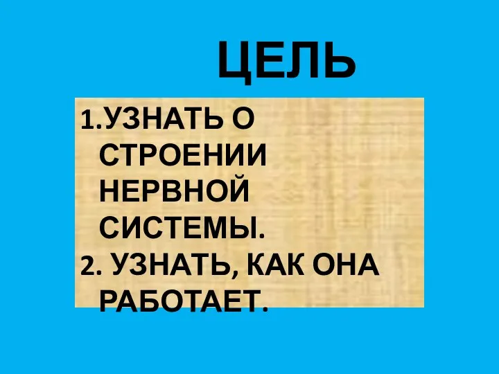 ЦЕЛЬ УРОКА: 1.УЗНАТЬ О СТРОЕНИИ НЕРВНОЙ СИСТЕМЫ. 2. УЗНАТЬ, КАК ОНА РАБОТАЕТ.