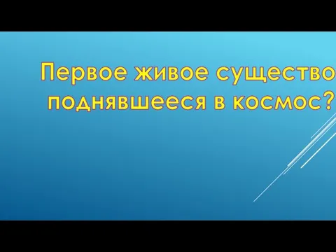 Первое живое существо, поднявшееся в космос?