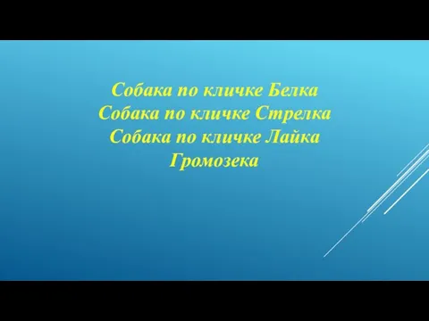 Собака по кличке Белка Собака по кличке Стрелка Собака по кличке Лайка Громозека