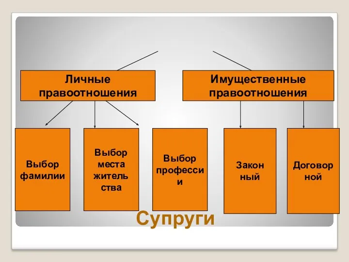 Супруги Личные правоотношения Имущественные правоотношения Выбор фамилии Выбор места житель